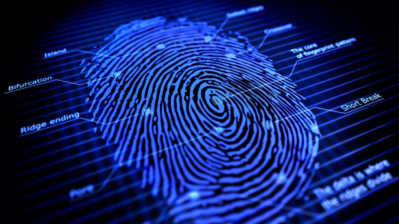 Fingerprint-La-Cach-Nen-Tang-Nhan-Dien-Nguoi-Dung.jpg