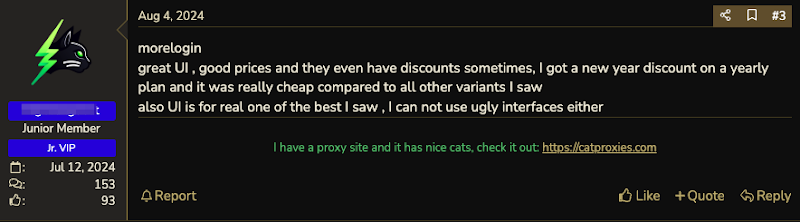 morelogin-review1.png