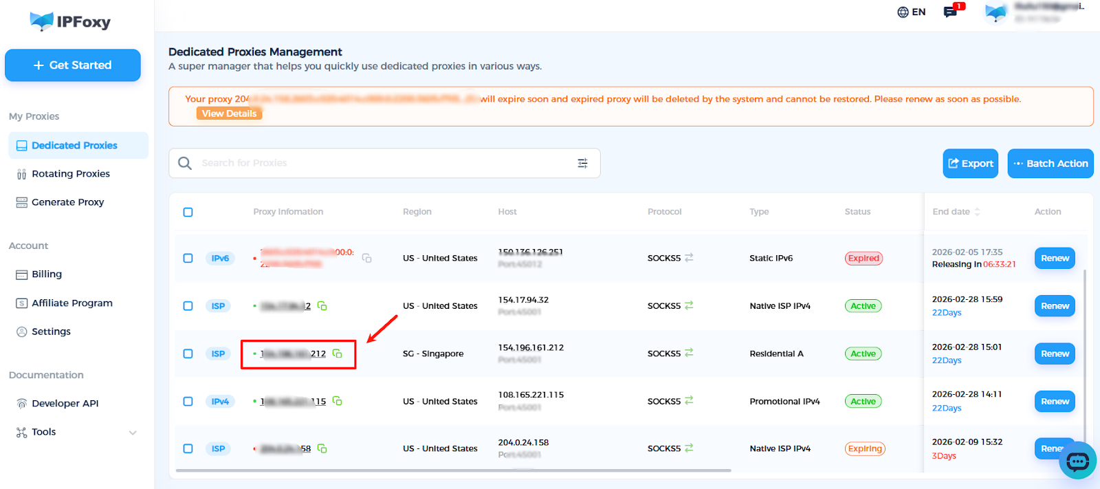 proxy information en.png