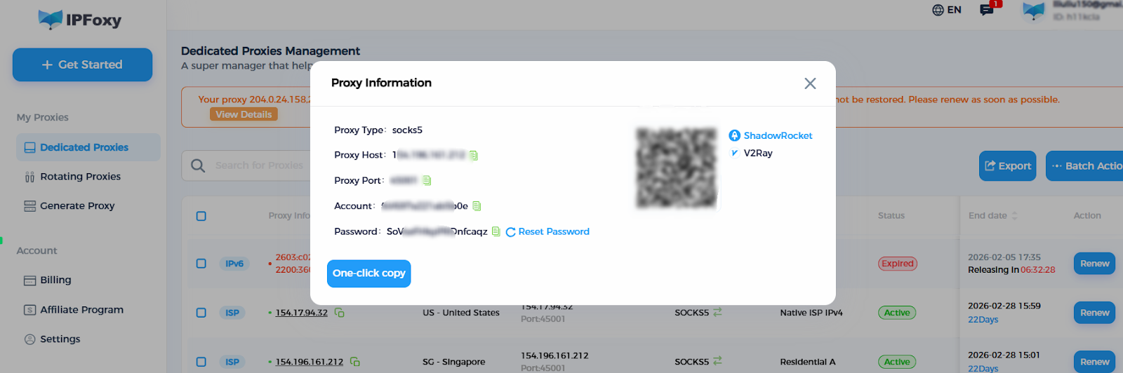 proxy information2 en.png