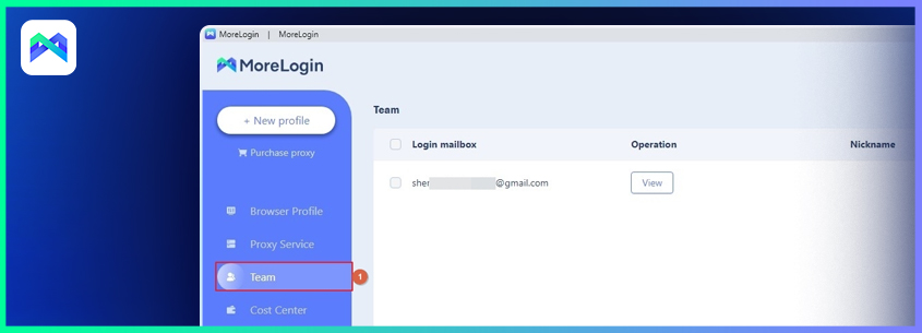 Working with Team by MoreLogin